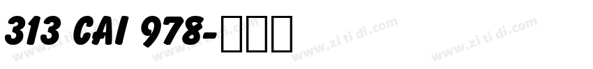 313 CAI 978字体转换